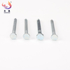 High Quality Electro Galvanized Zinc Plated 45#Carbon Common Steel Concrete Nail Masonry Cement Nail