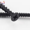 Wholesale Phillips Bugle Head Black Phosphated Drywall Screw Manufacturer and Supplier