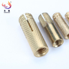 Hot Sale Brass Knurled Drop in Anchor Expansion Bolt Heavy Duty ISO CE Certified Supplier