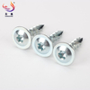 Truss Head Torx Drive Self Tapping Screw with Type 17 Points