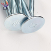 Square Neck Elevator Bolts Zinc Plated