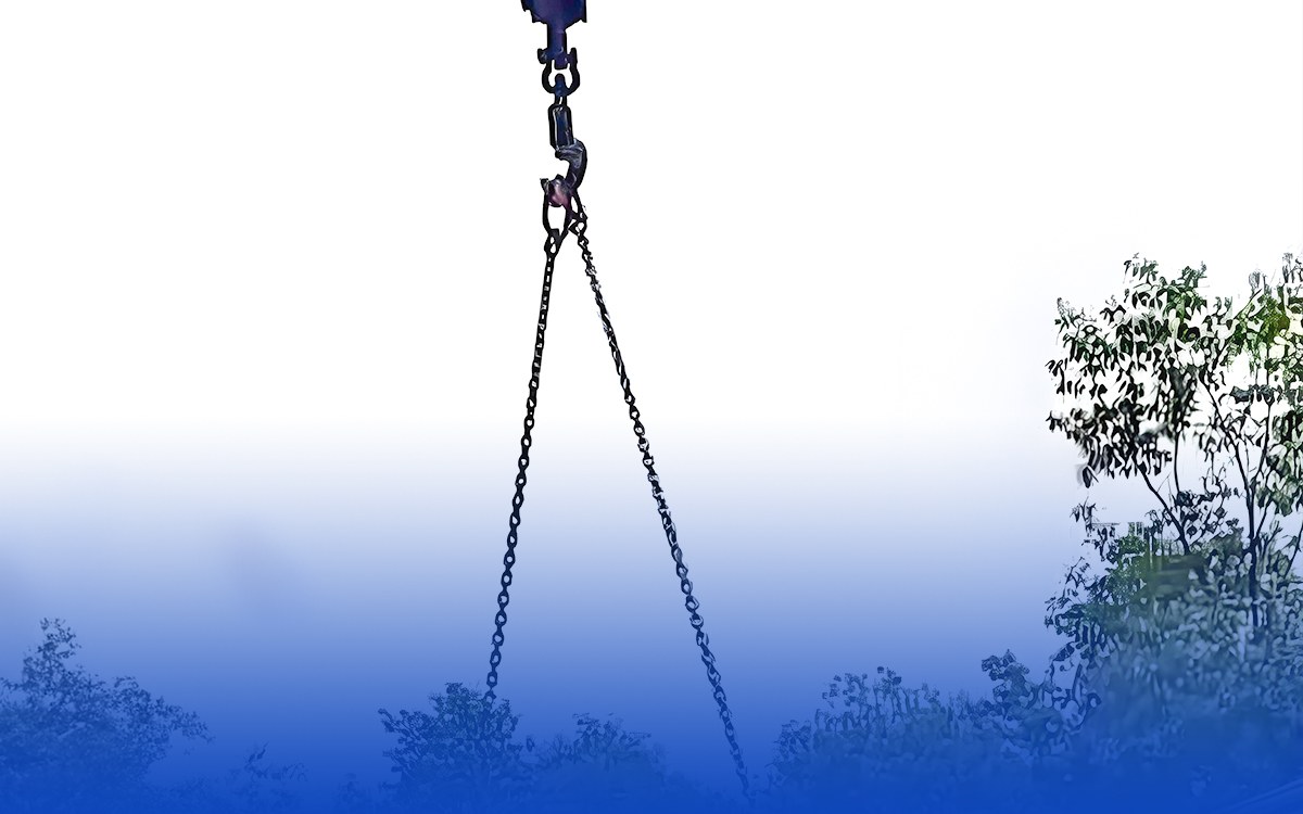 Rigging application